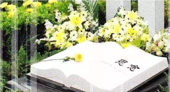 汤延光：怀念二姨｜散文