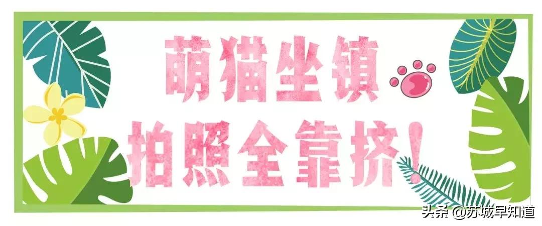 苏州平江路万达广场,苏州万达广场平江店