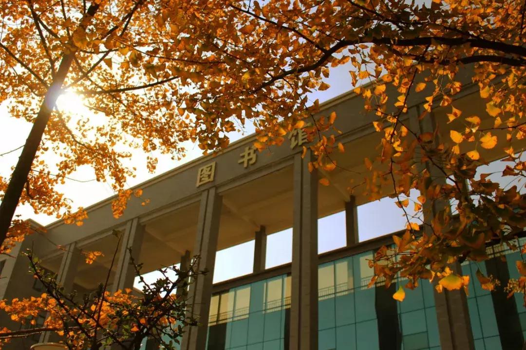 康复治疗技术专升本四川哪些学校,四川康复治疗技术专业哪个学校好