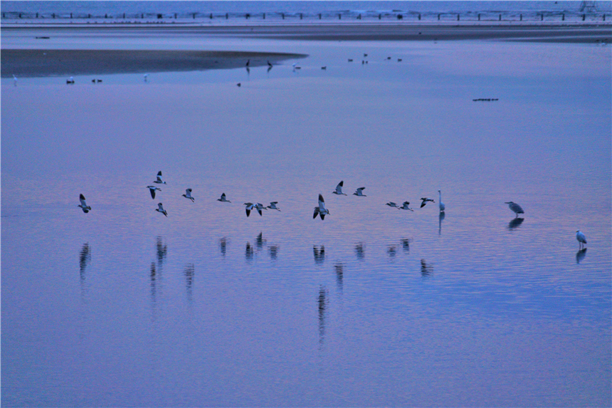 河北最宜居的城市有哪几个,河北最宜居的城市是哪个