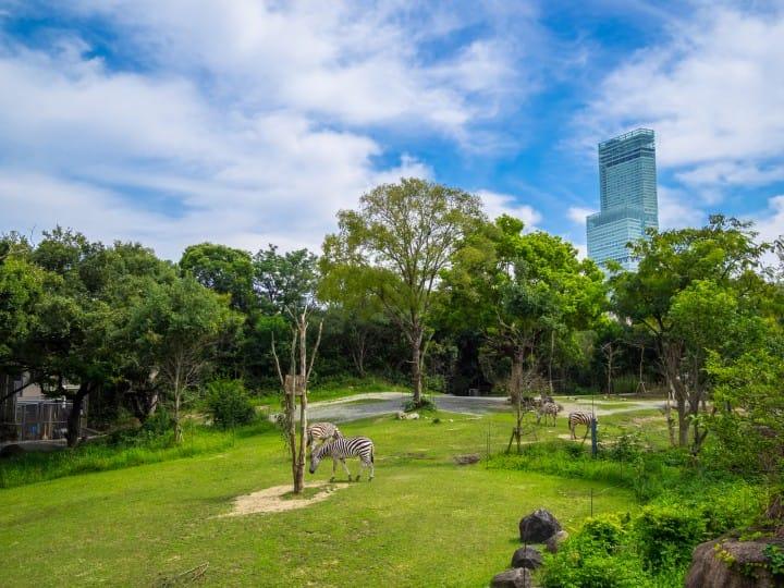 大阪心斋桥攻略,大阪市心斋桥