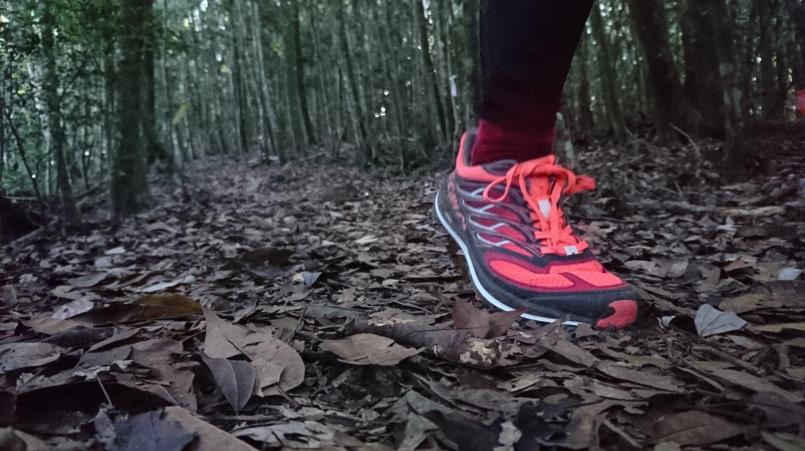 萨洛蒙和泰尼卡越野跑鞋,泰尼卡越野跑鞋至尊全能比较