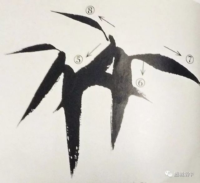 竹叶的画法模板,竹叶的钢笔画法