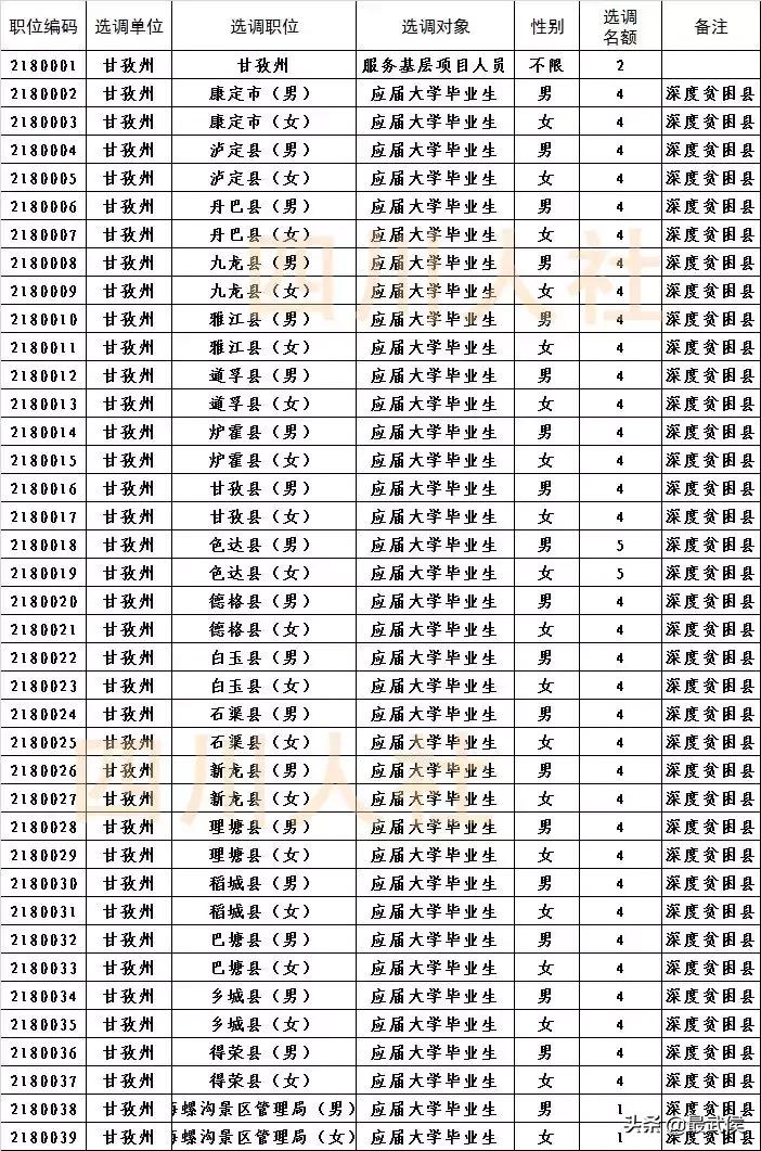 四川选调生2024公告职位表,四川选调生2024选调公告条件