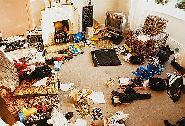 中国海关发现毒蜘蛛,安检发现毒蜘蛛