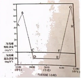 七上生物绿色植物的呼吸作用复习,高一生物必修一呼吸作用习题讲解