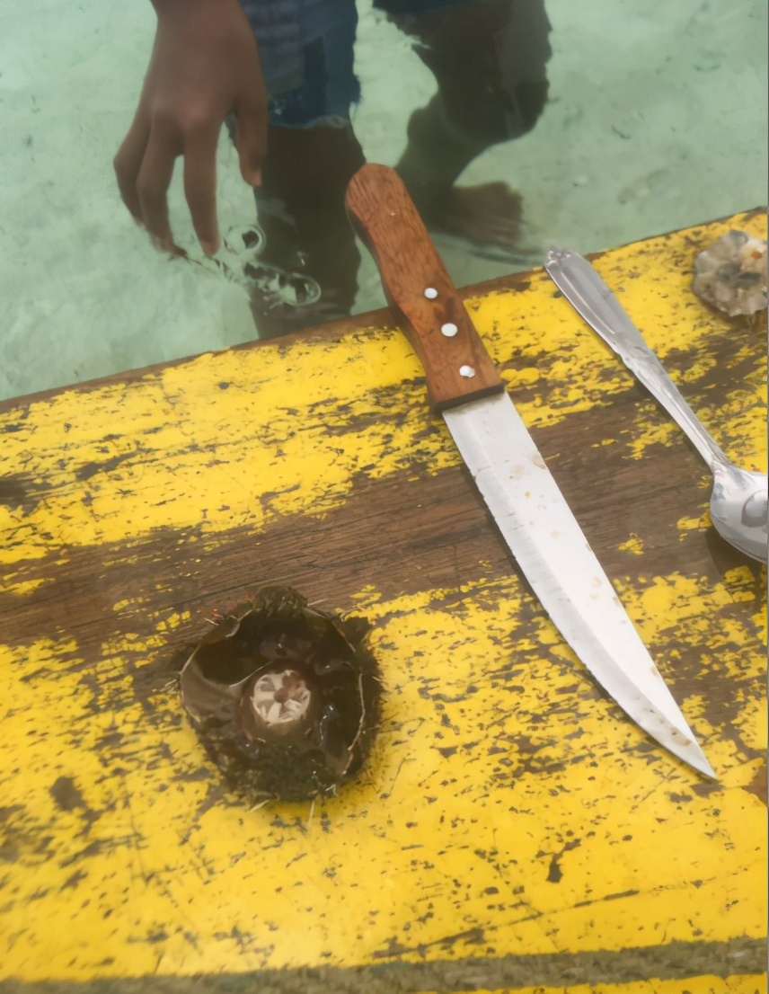 菲律宾自由行旅游攻略地图,菲律宾10天深度游