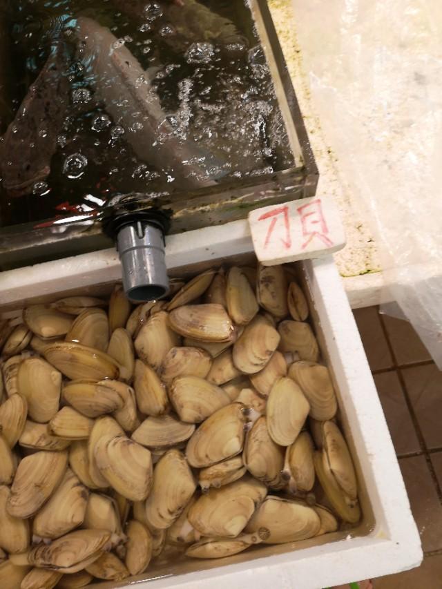 香港西贡游记下,香港最后一天去哪玩好