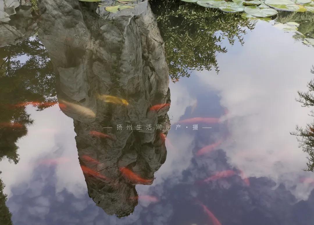 扬州的老城区有什么好玩的,老城区新增商业