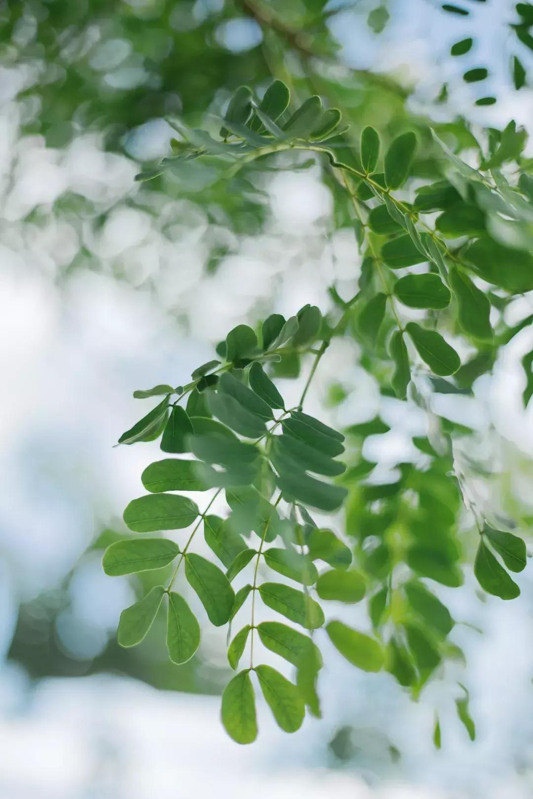 夫妻爆改农村小院,小夫妻改造农村房子