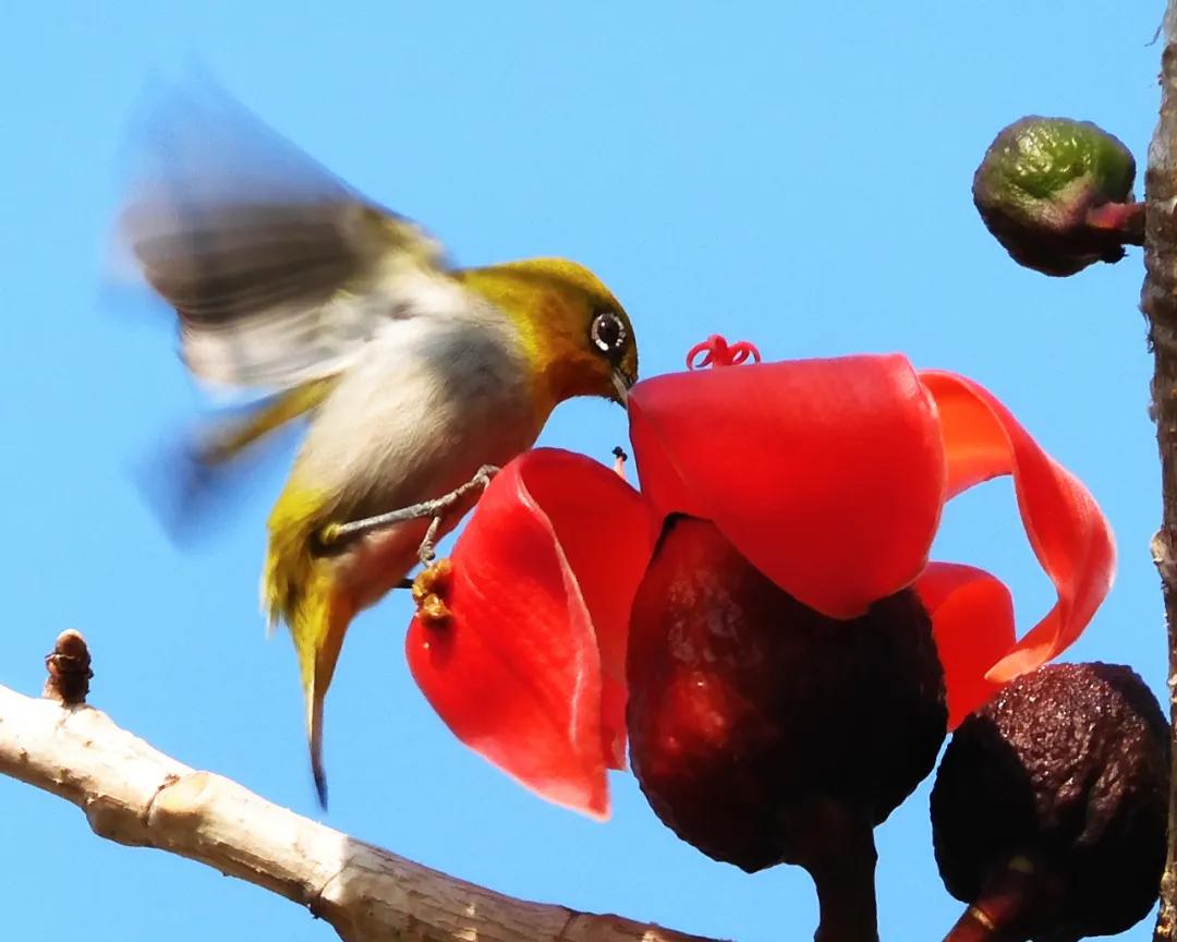 香港第14届全国摄影艺术展,第29届全国摄影艺术展览获奖名单