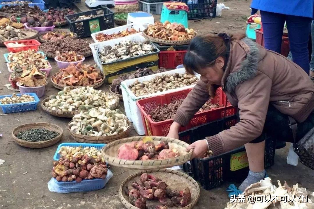 油中毒了咋办,近日学校集体中毒事件