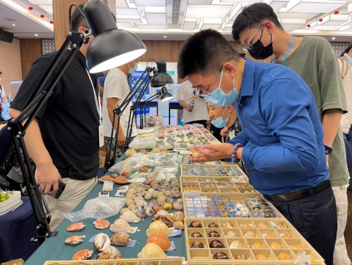 2021年上海国际贝展视频,2022年上海国际贝展