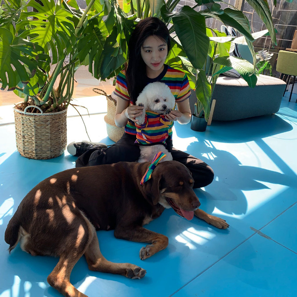 李菲儿穿短裤好看吗,李菲儿白色露脐装