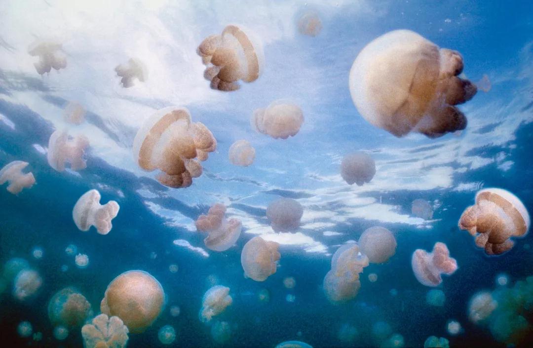 世界公认最美的十个地方,全球公认的最美的二十个地方