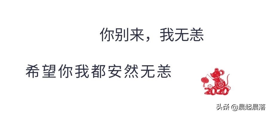2020疫情网络流行语,今年有关疫情流行语