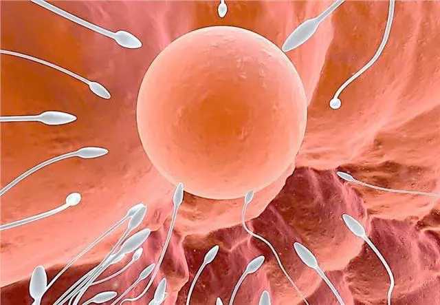 一对龙凤胎2个爹，亲妈短时间和不同爹同房！网友：电视都不敢演