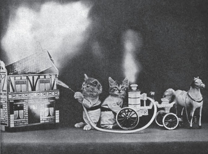 灏忕嫍灏忕尗鍖栬韩浜虹被,灏忕尗灏忕嫍鐢诲