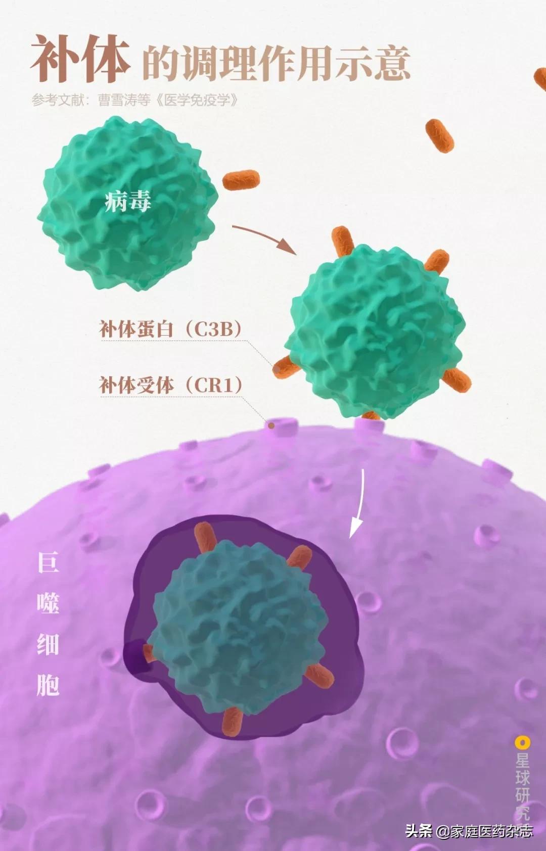 鍋囧鐥呮瘨鎰熸煋浜嗘垜,鍋囧鐥呮瘨鎰熸煋浜嗕綘