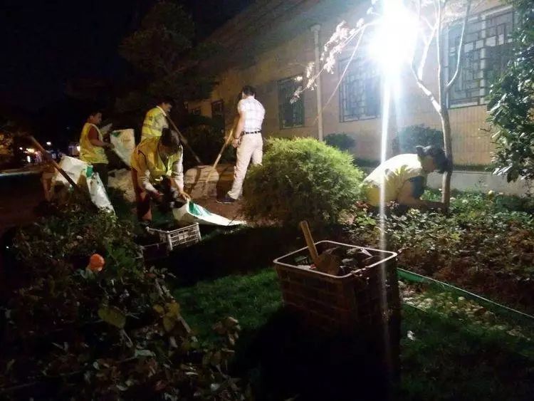 战高温斗酷暑坚守一线工地,战高温斗酷暑坚守一线照片