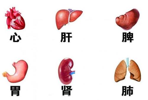 中医五脏与五行的辨证关系,中医里讲五行五气五脏五味五色