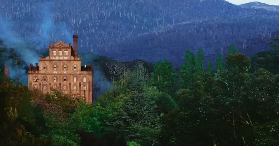 澳洲最好的抗癌药品,澳洲健康饮品真的有用吗