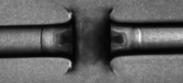 吸血鬼的科学分析,吸血鬼有关的研究