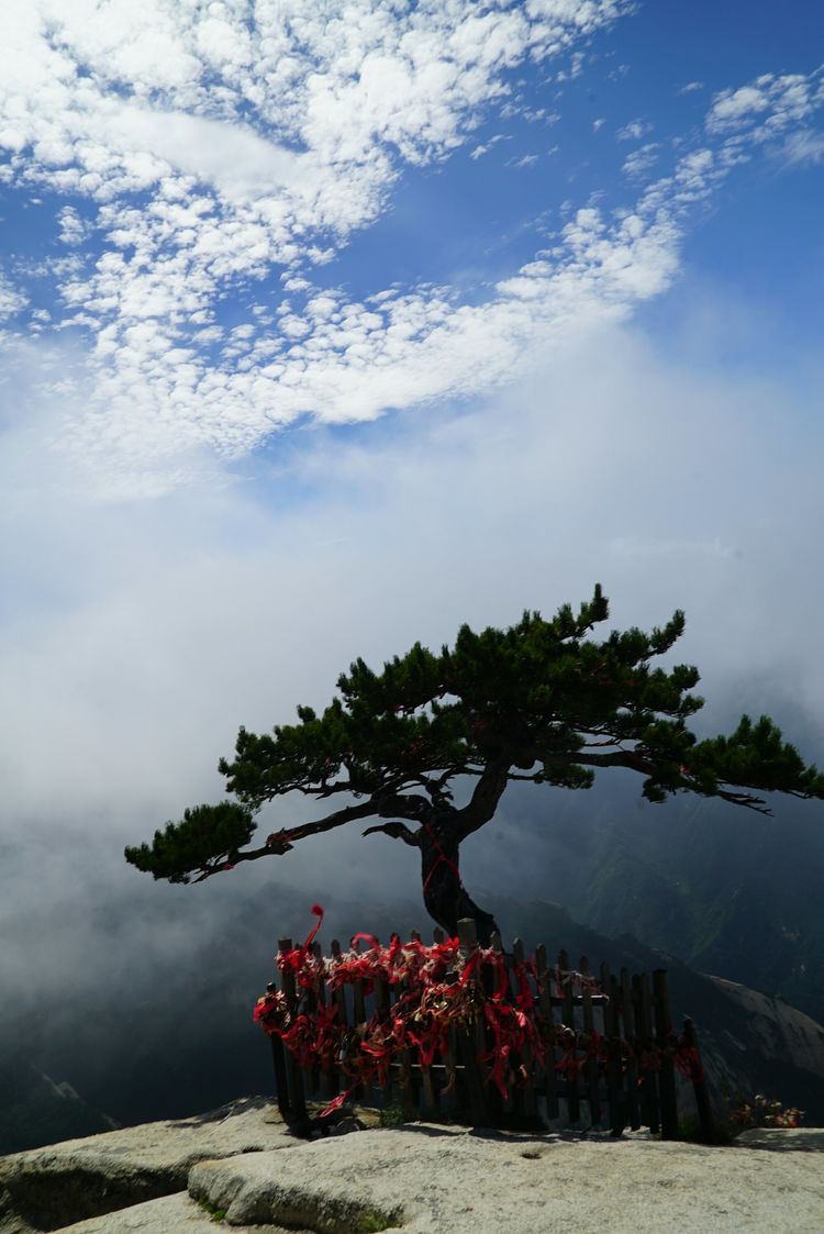 长空栈道登华山,惊心动魄登华山