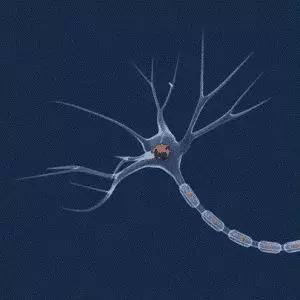 脑电波培养注意力怎么样,一分钟教你如何增强脑电波