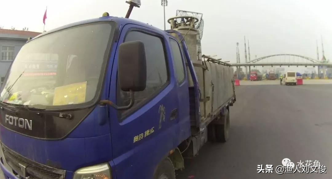 鱼体表粘液增多是怎么回事,鱼粘液起什么作用