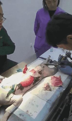 无毛猫为什么那么恶心,无毛猫很难让人接受