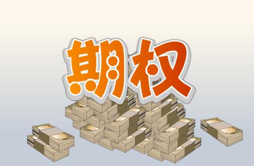 期权通俗易懂的讲解,一文看懂什么是股票