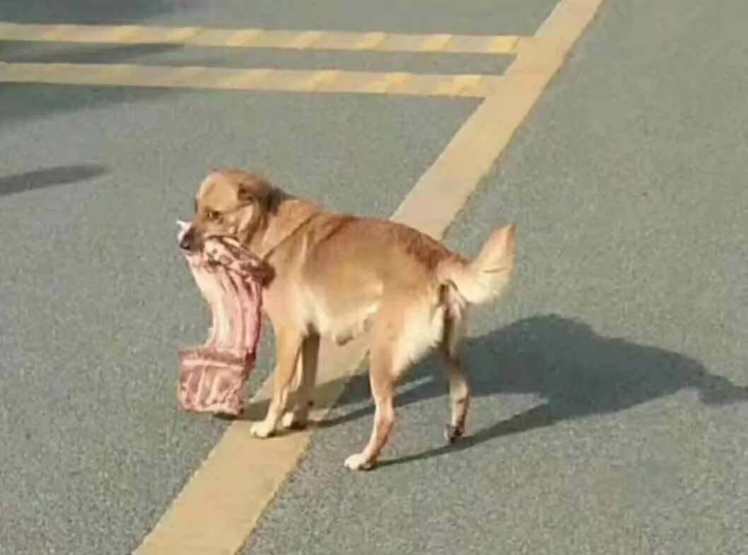 闉嬪瓙琚滃瓙琚埆浜哄伔,闉嬪瓙琚滃瓙琚伔