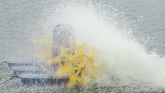 养殖海虾的真实利润,85后小伙在农村养殖