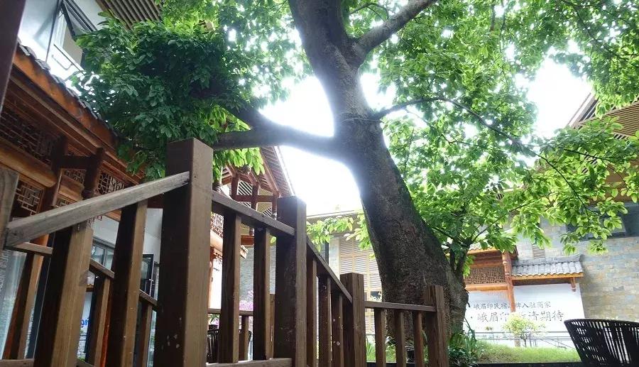 峨眉山下民宿推荐网红,峨眉山下避暑的民宿