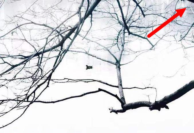 象策学堂（一）∣慢、稳才能快，提升摄影水平的捷径就是少走弯路