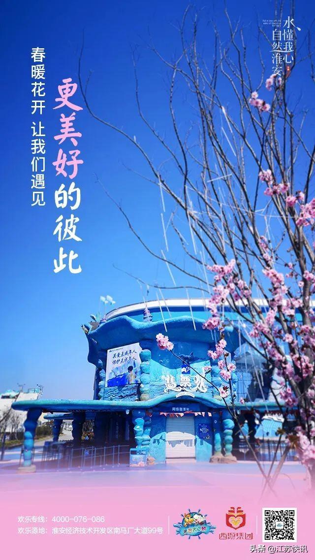 龙宫大白鲸早上几点开门,大白鲸龙宫最新消息