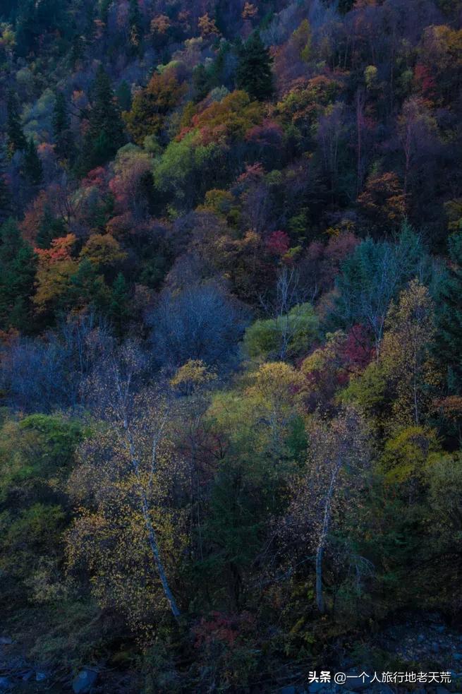 国庆带宝宝去玩的宝藏地方,贵阳国庆周边宝藏地