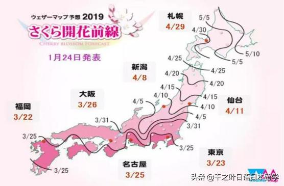 日本樱花季赏樱攻略,樱花季带你去日本看最美的樱花