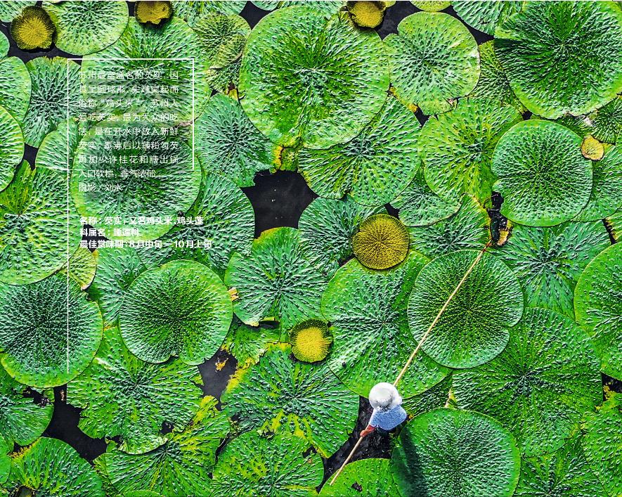 国家地理经典影像苏州,中国国家地理经典影像苏州