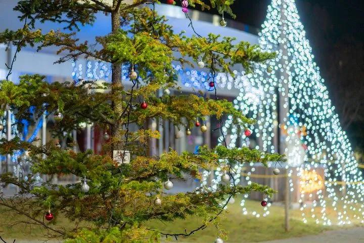 上饶信州区大学有哪些,国立信州大学