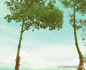 好玩的手指操游戏,好玩手指操