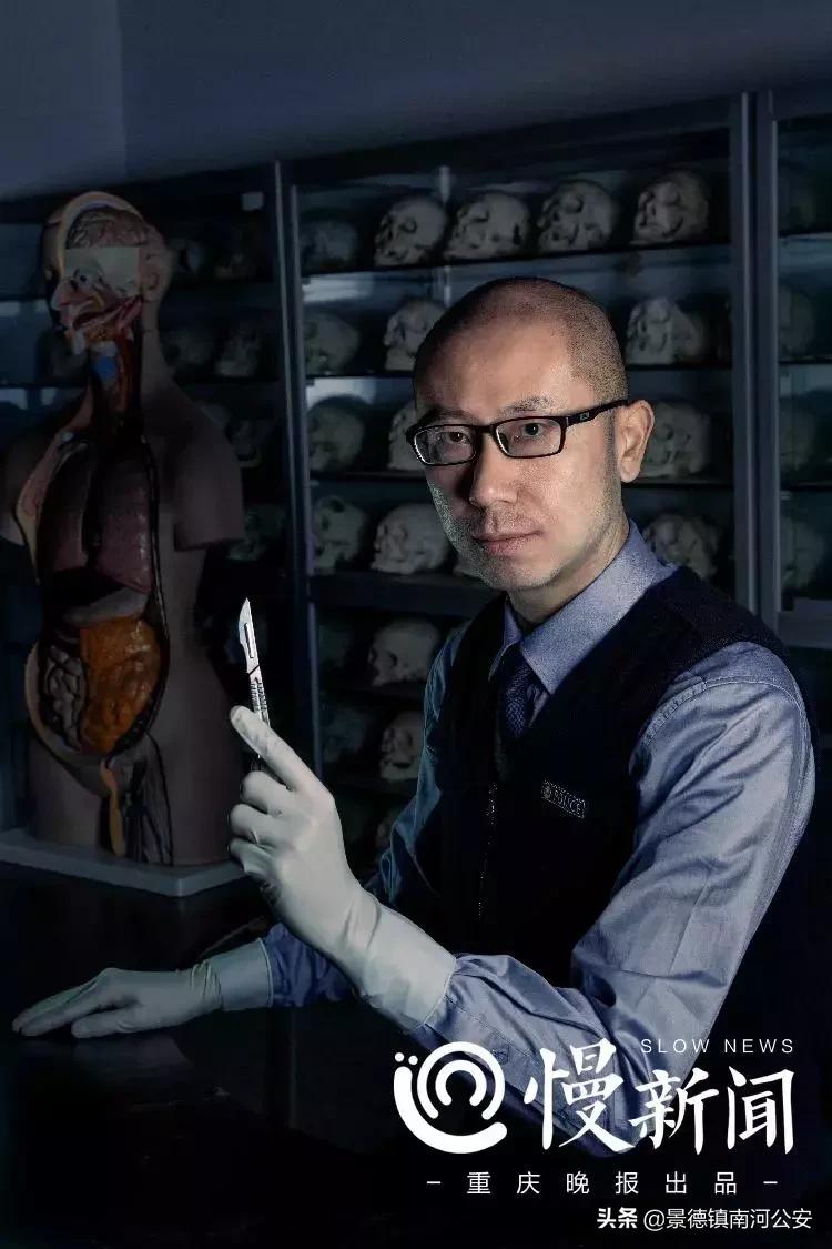 法医悬疑系列电影,10部好看的法医悬疑电影