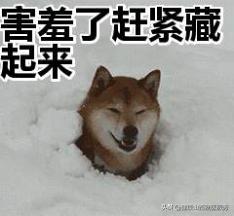 房事前洗澡竟会影响性质量？