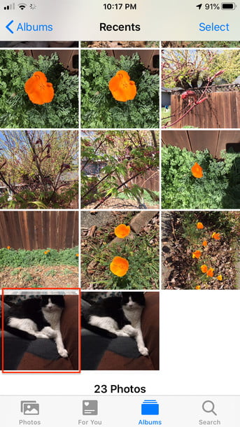 全部删除苹果手机所有照片和视频,iphone自带相机删除了怎么恢复