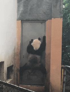 搞笑gif妹子的内心是崩溃的,搞笑gif妹子原来是个逗比