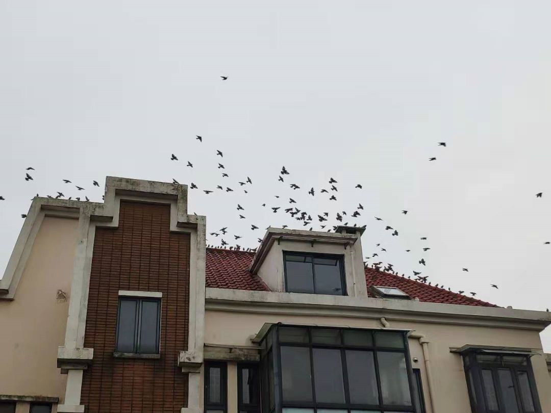 罗玉凤和范冰冰,范冰冰和罗玉凤谁好看