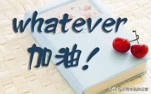 万物皆可创业版,万物皆可努力挣钱