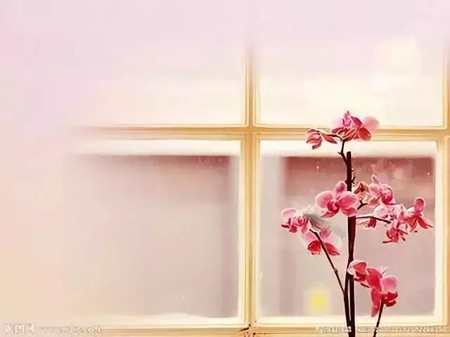 世界知名广告语创意,世界十大英文经典广告语