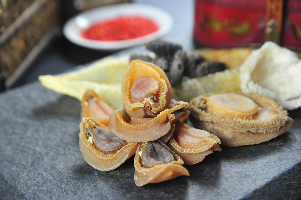 九头鲍九尾鲍，究竟谁才是真的鲍？